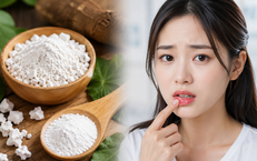 Bước Tiến Mới Trong Công Tác Quản Lý Tại Học Viện Y – Dược Học Cổ Truyền Việt Nam