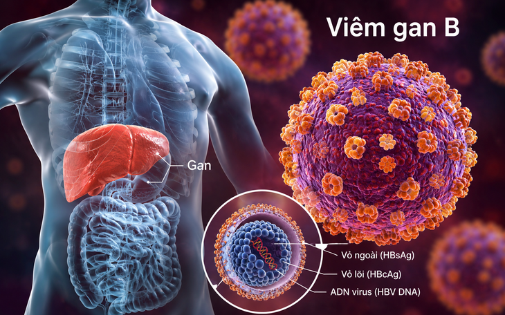 Tìm hiểu về chẩn đoán và điều trị viêm gan B, C