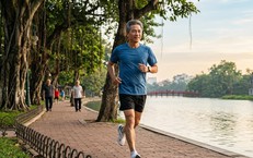 8 Loại Thực Phẩm Thiết Yếu Giúp Giảm Lão Hóa Da Ở Người Trên 50
