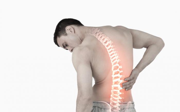 Nguyên Nhân Đau Lưng Dưới: Những Dấu Hiệu Cảnh Báo Quan Trọng