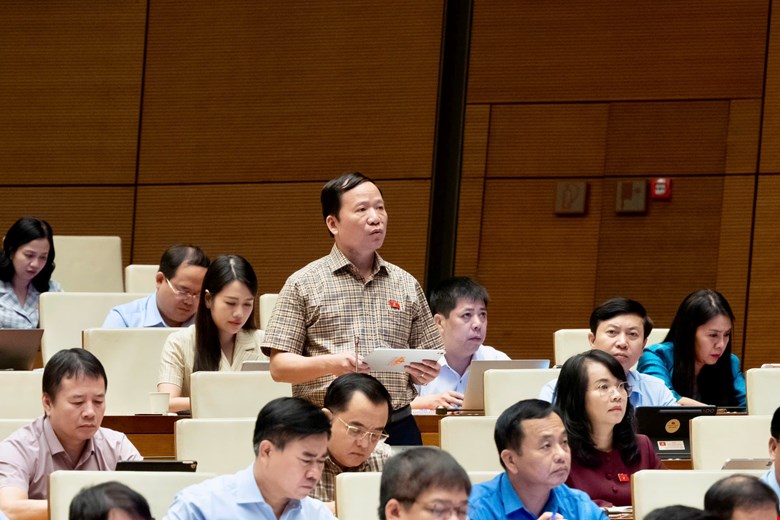 dbqh-an-1786335349743410102163 Hòa giải trực tuyến: Lợi ích và rủi ro - Ảnh 3.