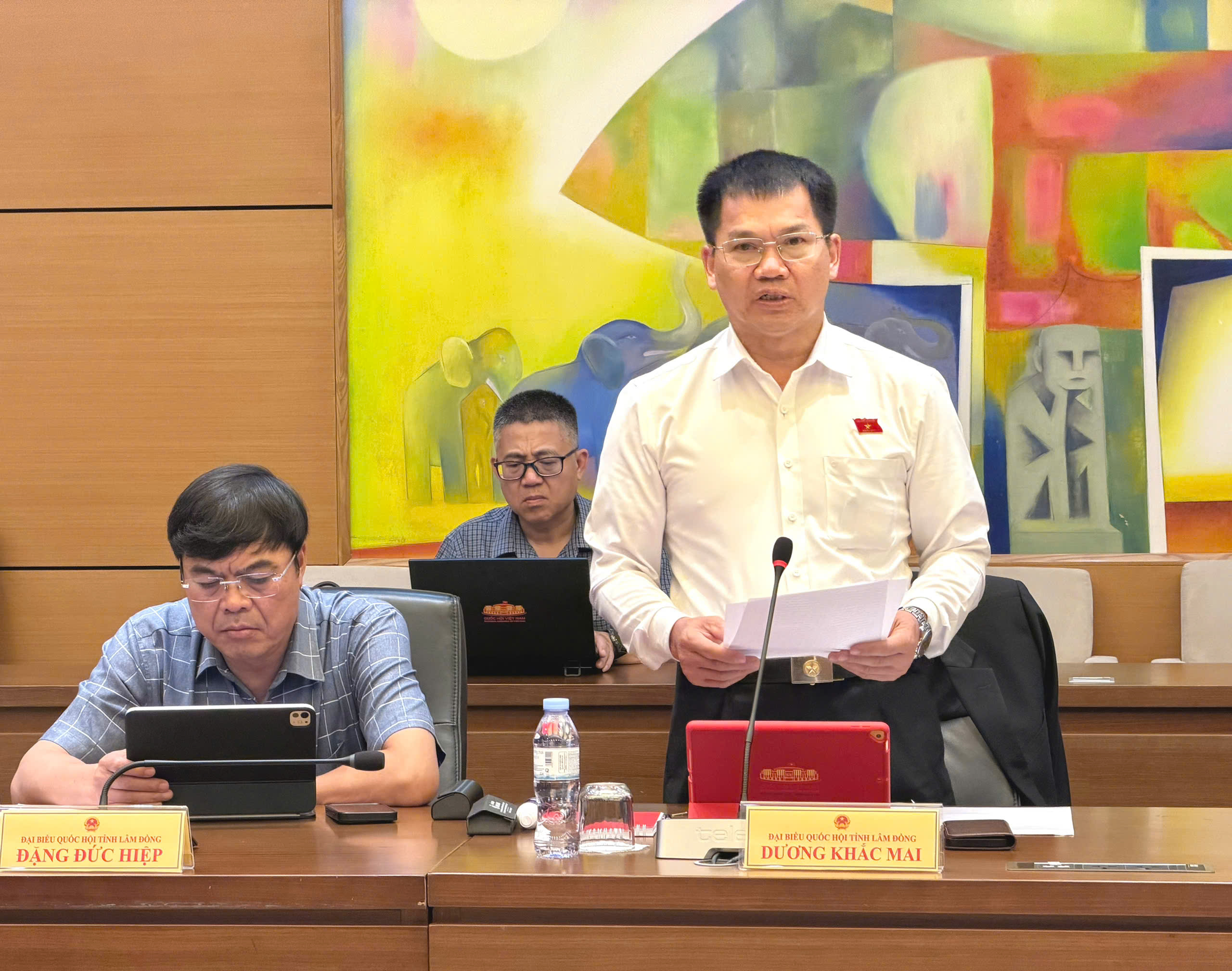 dbqh-duong-khac-mai-17858411878411018084725 ĐBQH: Cần bảo vệ đúng người dám nghĩ, dám làm vì lợi ích chung- Ảnh 1.