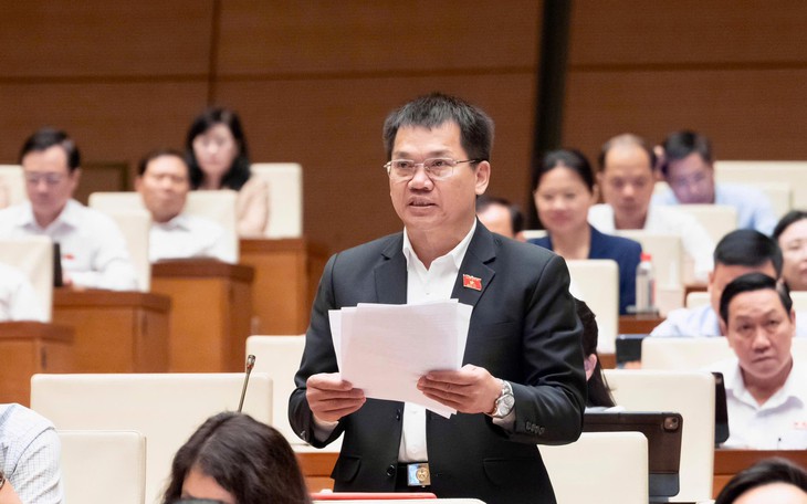 Quốc hội thảo luận về phạm vi bồi thường thiệt hại trong quản lý thuế - Ảnh 6.