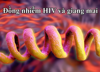 Giải Pháp Tăng Cường Sinh Lý Nam: An Toàn và Hiệu Quả Hơn Biện Pháp Cấp Tốc