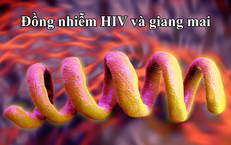 Giải Pháp Tăng Cường Sinh Lý Nam: An Toàn và Hiệu Quả Hơn Biện Pháp Cấp Tốc