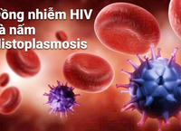 Sự Nguy Hiểm Của Virus HPV: Mối Liên Quan Đến Ung Thư và Giải Pháp Phòng Ngừa