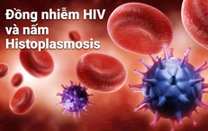 Sự Nguy Hiểm Của Virus HPV: Mối Liên Quan Đến Ung Thư và Giải Pháp Phòng Ngừa