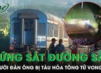 Các Đối Tượng Được Bồi Thường Khi Nhà Nước Thu Hồi Đất