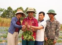 Cuộc Truy Lùng Kẻ Trộm Chó: Hành Trình Kịch Tính Từ Chốn Thành Phố