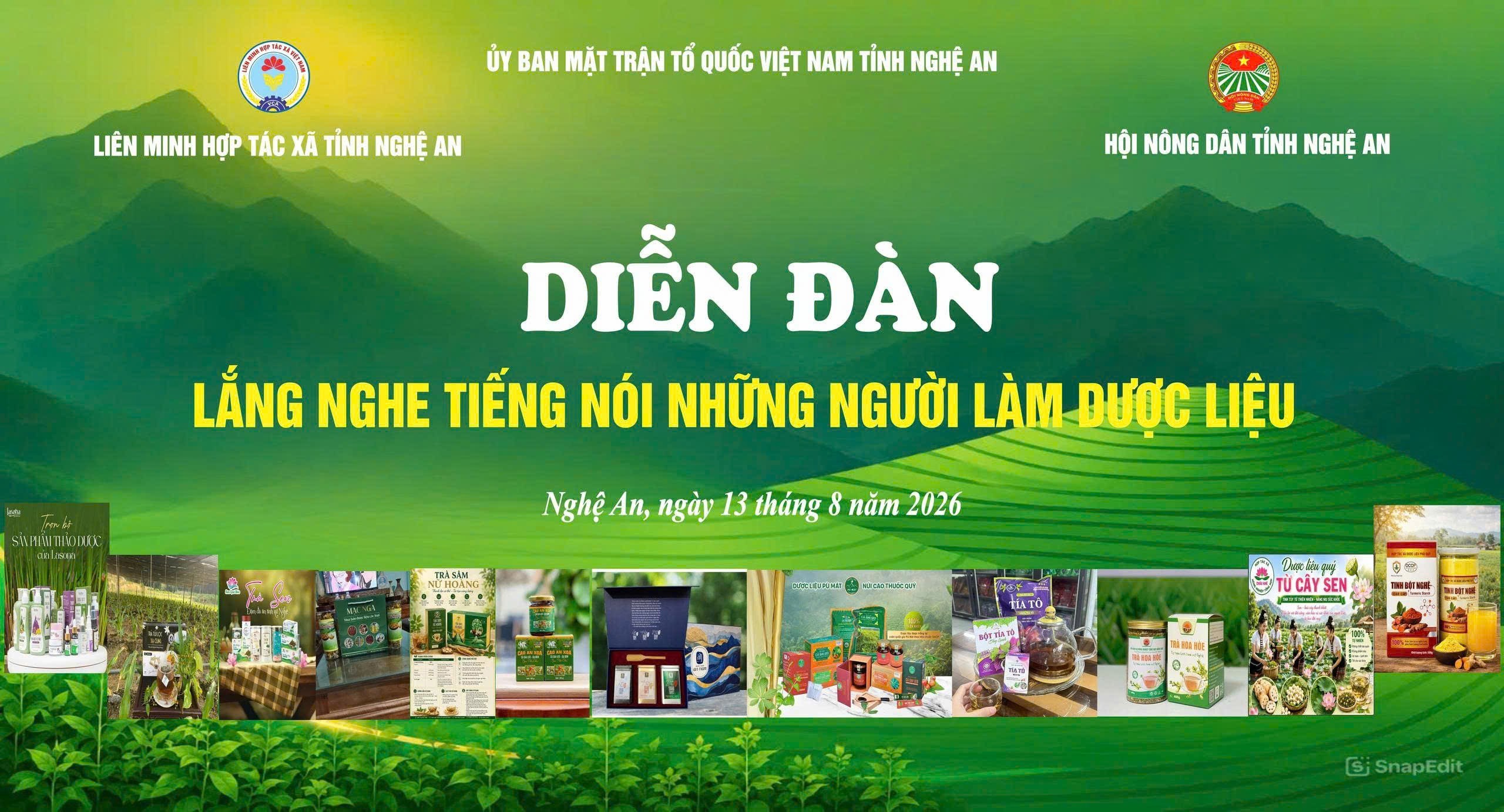 Nghệ An: Tháo gỡ khó khăn, phát triển ngành dược liệu theo hướng bền vững- Ảnh 1.
