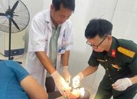 Tình Hình Dịch Bệnh Tay Chân Miệng và Sốt Xuất Huyết ở Lâm Đồng: Những Biện Pháp Cần Thực Hiện