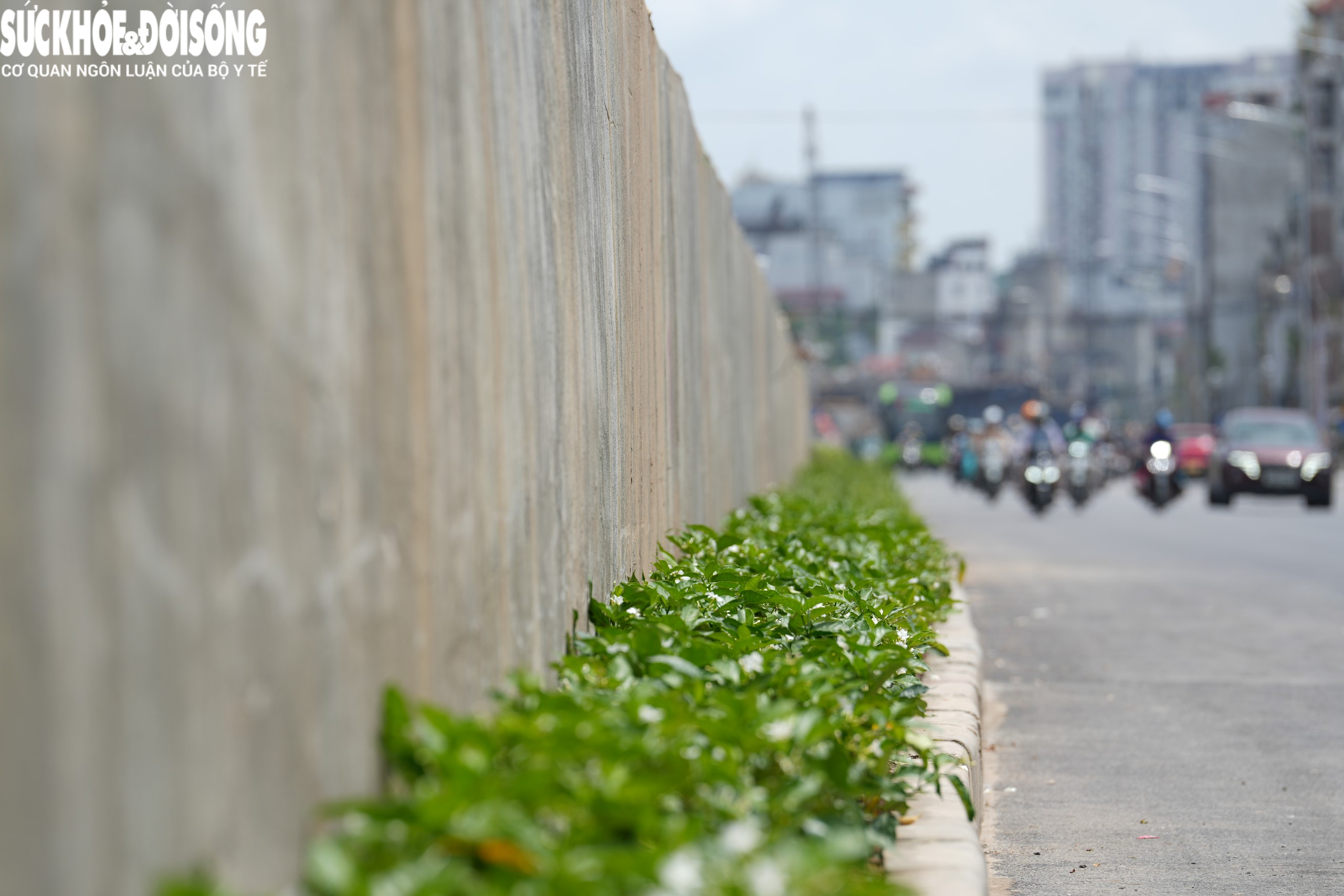 edit-hcn06204-17881073554361299611558 Hoàn thiện đường đi