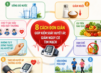 Khám Phá 4 Món Ăn Giàu Kali Tốt Cho Tim Mạch và Hệ Thần Kinh
