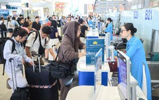 Hệ Sinh Thái Đầm Lập An: Những Thực Trạng và Kế Hoạch Phục Hồi Tương Lai
