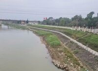 Người Đàn Ông Say Rượu Bị Xử Lý Sau Nhiều Lần Gọi 113 Tin Giả