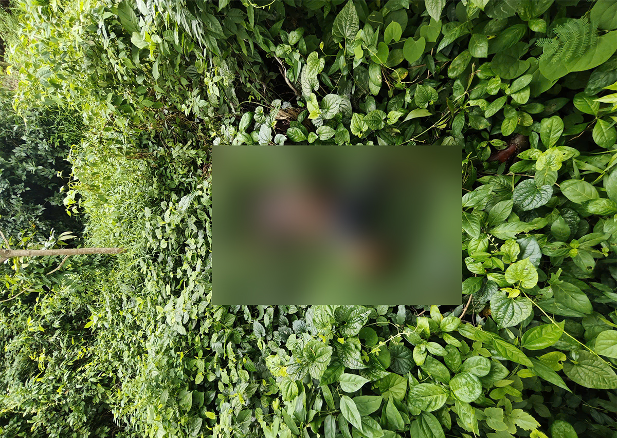 ht-17880775060721834594995 Bí ẩn thi thể người bán vé số phân huỷ ở bụi cỏ ven đường biên giới- Ảnh 1.