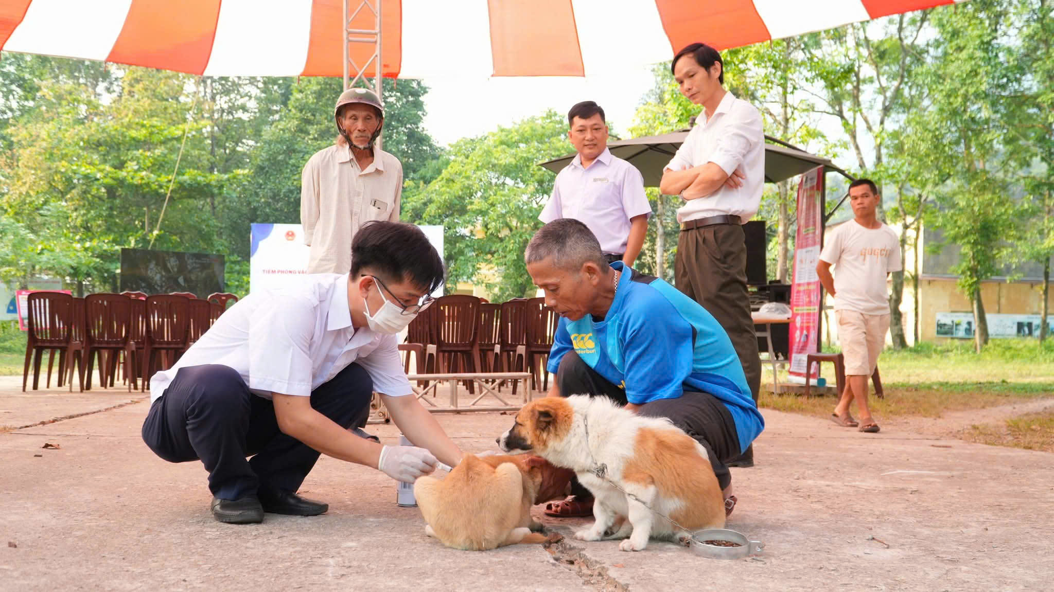 Cách Đối Phó Nhanh Chóng Khi Bị Chó, Mèo Cắn- Ảnh 2.