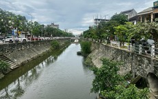 Tai Nạn Giao Thông: Chuyện Quỳ Xin Bên Lề Đường Như Một Cảnh Báo