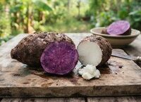 Tại Sao Hệ Tiêu Hóa Lại Quan Trọng Đối Với Sự Phát Triển Của Trẻ Em?