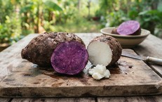 Tại Sao Hệ Tiêu Hóa Lại Quan Trọng Đối Với Sự Phát Triển Của Trẻ Em?