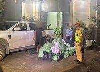 Hành Trình Tìm Kiếm: Người Bác Sĩ Giữa Núi Rừng Tuyên Quang