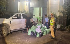 Hành Trình Tìm Kiếm: Người Bác Sĩ Giữa Núi Rừng Tuyên Quang