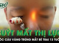Câu Chuyện Đằng Sau Quyết Định của Cô Gái Hủy Chuyến Đi Nhật