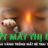 Câu Chuyện Đằng Sau Quyết Định của Cô Gái Hủy Chuyến Đi Nhật