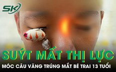 Câu Chuyện Đằng Sau Quyết Định của Cô Gái Hủy Chuyến Đi Nhật