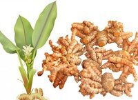 10 Biện Pháp Đơn Giản Từ Không Gian Sống Giúp Bảo Vệ Sức Khỏe