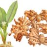 10 Biện Pháp Đơn Giản Từ Không Gian Sống Giúp Bảo Vệ Sức Khỏe