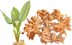10 Biện Pháp Đơn Giản Từ Không Gian Sống Giúp Bảo Vệ Sức Khỏe