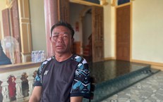 Khám Phá Loài Mực Mới: Bất Ngờ Từ Mẫu Vật 70 Năm Bị Lãng Quên