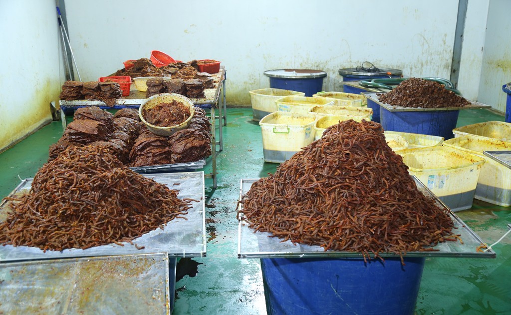 nguyen-lieu-duoc-che-bien-17870357867011118782953 Phá đường dây sản xuất, buôn bán khô bò giả từ thịt trâu Ấn Độ quy - Ảnh 1.