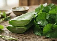 Những Thực Phẩm Nên Bổ Sung Khi Trên 50 Tuổi Để Tăng Cường Collagen