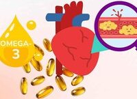 Tăng Cường Phát Triển Y Học Bào Thai Tại Việt Nam Qua Hợp Tác Quốc Tế