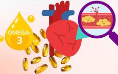 Tăng Cường Phát Triển Y Học Bào Thai Tại Việt Nam Qua Hợp Tác Quốc Tế