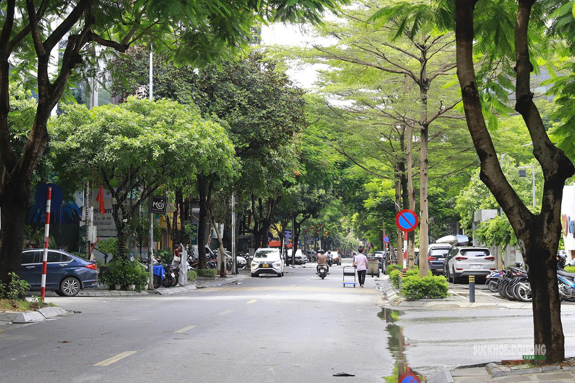 pho-thanh-thai-khuc-thua-du-truoc-ke-hoach-thanh-pho-di-bo-thong-minh-8-1785816971749676708772 Phố Thành Thái và Khúc Thừa Dụ: Thí điểm không gian văn hóa phố đi bộ thông minh 2026 - Ảnh 4.