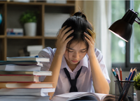 Cảnh Báo Mưa Lớn Và Nguy Cơ Lũ Quét Từ Áp Thấp Nhiệt Đới
