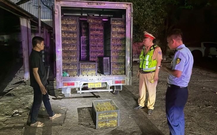 Quảng Ninh: Phát hiện xe tải chở 10.000 vịt con không rõ nguồn gốc trong đêm