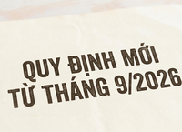 Khám Phá Những Điểm Bắn Pháo Hoa Ấn Tượng Trong Ngày Quốc Khánh 2/9