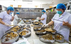 Sự Kiện Đột Phá: Quỹ Bảo Hiểm Y Tế Hỗ Trợ Hàng Tỷ Đồng Cho Bệnh Nhân Nặng