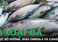 Cây Dại Ven Suối: Vị Thuốc Quen Thuộc Cho Người Bệnh Tiểu Đường