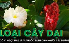 7 Thói Quen Vàng Giúp Kéo Dài Tuổi Thọ của Bạn