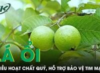 Câu Chuyện Chấn Động: Bé Trai 14 Tuổi Nhập Viện Vì Xuất Huyết Tiêu Hóa Nghiêm Trọng