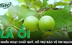 Câu Chuyện Chấn Động: Bé Trai 14 Tuổi Nhập Viện Vì Xuất Huyết Tiêu Hóa Nghiêm Trọng