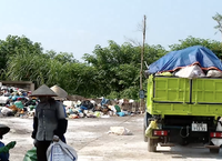Hà Nội Triển Khai Hệ Thống Giám Sát An Toàn Thực Phẩm Trong Các Trường Học