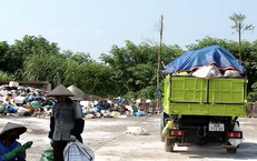Hà Nội Triển Khai Hệ Thống Giám Sát An Toàn Thực Phẩm Trong Các Trường Học