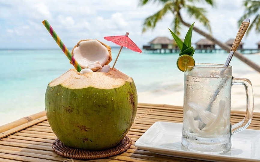 Sốt xuất huyết uống thuốc gì? Những điều cần biết để dùng thuốc an toàn - Ảnh 2.