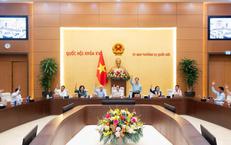 Truy Tìm Sự Thật Về Vụ Giết Người Tại Quảng Ngãi: Diễn Biến Đáng Lo Ngại